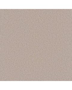 Dreamweaver Beach Club II Champagne Fizz Carpet - DW-1430-6309