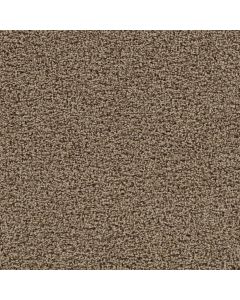 Dreamweaver Tracker Honey Beige Carpet - DW-1524-510