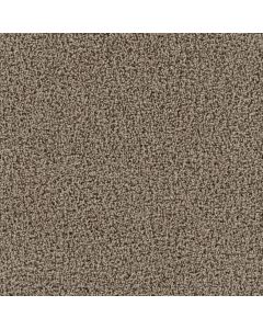 Dreamweaver Tracker Doeskin Carpet - DW-1524-530