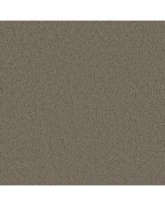 Dreamweaver Tracker Barnwood Carpet - DW-1524-550