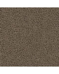 Dreamweaver Tracker Taupe Carpet - DW-1524-565