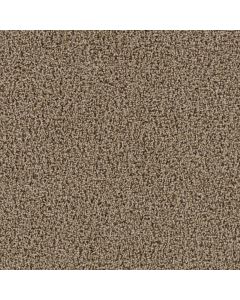 Dreamweaver Tracker Sandstone Carpet - DW-1524-715
