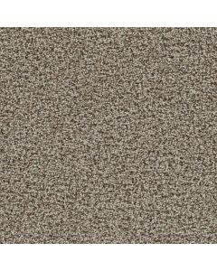 Dreamweaver Tracker Almond Carpet - DW-1524-782