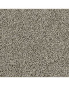 Dreamweaver Tracker Cinder Carpet - DW-1524-835