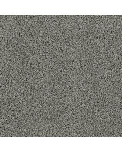 Dreamweaver Tracker Bayside Carpet - DW-1524-956