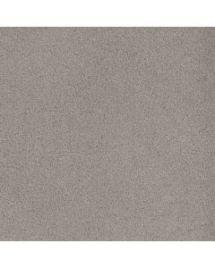 Dreamweaver Beach Club III Ivory Glow Carpet - DW-1540-2957