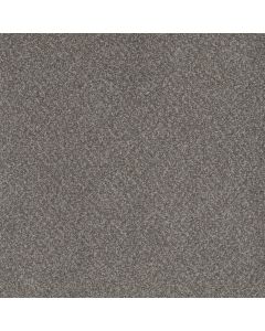 Dreamweaver Beach Club III Encore Carpet - DW-1540-4094