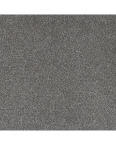 Dreamweaver Beach Club III Forget Me Not Carpet - DW-1540-4255