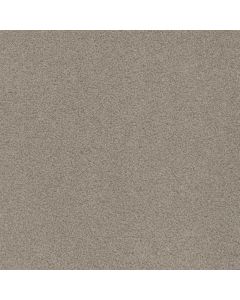 Dreamweaver Beach Club III Haystack Carpet - DW-1540-4285