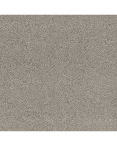 Dreamweaver Beach Club III Pale Sunshine Carpet - DW-1540-4290