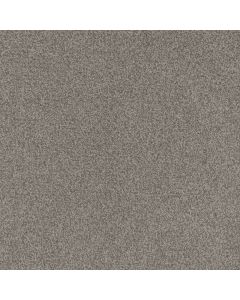 Dreamweaver Beach Club III Roman Carpet - DW-1540-4345
