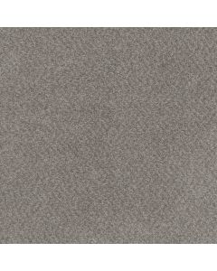 Dreamweaver Beach Club III Spanish Moss Carpet - DW-1540-4379