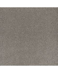 Dreamweaver Beach Club III Canyon Carpet - DW-1540-4470