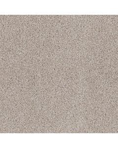 Dreamweaver Cedar Creek Cameo Carpet - DW-2030-174