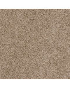 Dreamweaver Cedar Creek Honey Beige Carpet - DW-2030-510