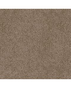 Dreamweaver Cedar Creek Taupe Carpet - DW-2030-565