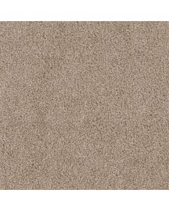 Dreamweaver Cedar Creek Canyon Cliffs Carpet - DW-2030-571