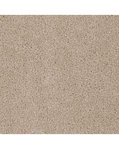 Dreamweaver Cedar Creek Cashmere Carpet - DW-2030-580
