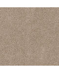 Dreamweaver Cedar Creek Sawgrass Carpet - DW-2030-701