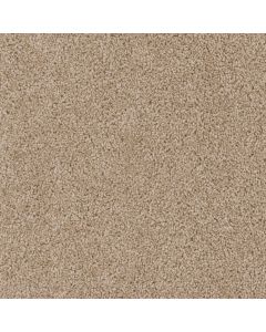 Dreamweaver Cedar Creek Camel Carpet - DW-2030-710
