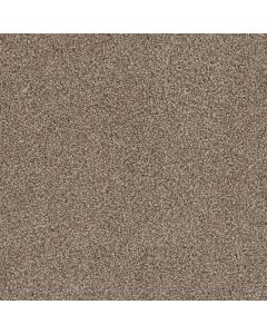 Dreamweaver Cedar Creek Buff Carpet - DW-2030-720