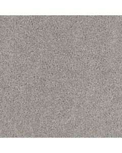 Dreamweaver Cedar Creek Silver Birch Carpet - DW-2030-800