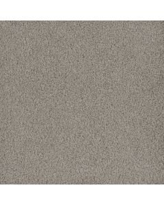 Dreamweaver Hammond Creek I Clam Shell Carpet - DW-2032-182