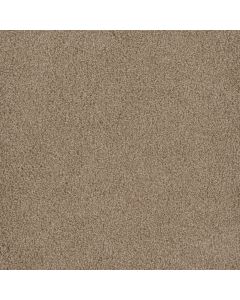Dreamweaver Hammond Creek I Sawgrass Carpet - DW-2032-701
