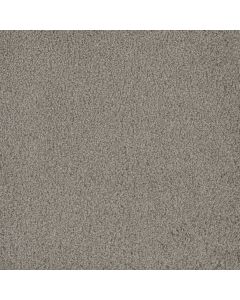 Dreamweaver Hammond Creek I Silver Birch Carpet - DW-2032-800