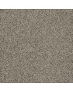 Dreamweaver Hammond Creek I Mineral Carpet - DW-2032-850