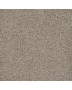 Dreamweaver Hammond Creek II Cameo Carpet - DW-2045-174