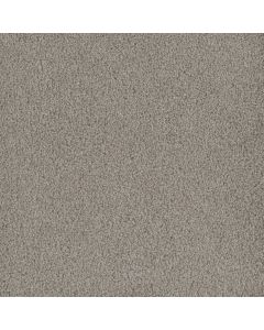 Dreamweaver Hammond Creek II Clam Shell Carpet - DW-2045-182