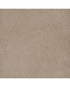 Dreamweaver Hammond Creek II Oak Bay Carpet - DW-2045-349