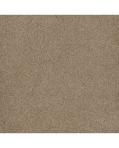 Dreamweaver Hammond Creek II Sawgrass Carpet - DW-2045-701
