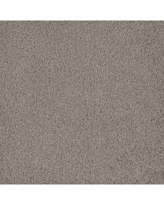 Dreamweaver Hammond Creek II Silver Birch Carpet - DW-2045-800