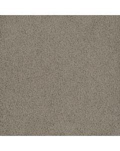 Dreamweaver Hammond Creek II Mineral Carpet - DW-2045-850