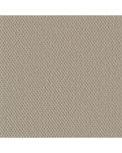 Dreamweaver Prime Champagne Fizz Carpet - DW-2125-6309