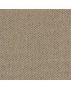 Dreamweaver Prime Soft Pine Carpet - DW-2125-6317