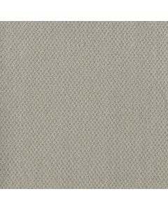 Dreamweaver Prime Snow Cap Carpet - DW-2125-6319