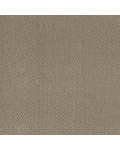Dreamweaver Prime Warm Sand Carpet - DW-2125-6339