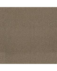 Dreamweaver Prime Deer Path Carpet - DW-2125-6564