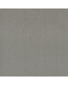 Dreamweaver Superb Icefield Carpet - DW-2225-620