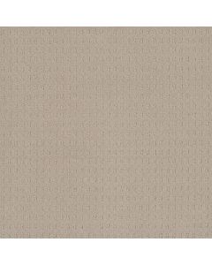 Dreamweaver Superb Champagne Fizz Carpet - DW-2225-6309