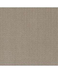Dreamweaver Superb Warm Sand Carpet - DW-2225-6339