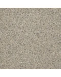 Dreamweaver Astounding I Fine Details Carpet - DW-2530-259