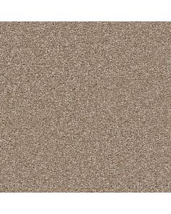 Dreamweaver Cape Cod Quail Carpet - DW-2540-725