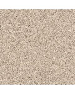 Dreamweaver Cape Cod Ivory Carpet - DW-2540-730