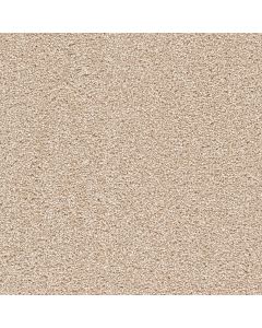 Dreamweaver Cape Cod Blush Carpet - DW-2540-735