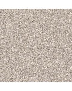 Dreamweaver Cape Cod Parchment Carpet - DW-2540-744