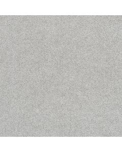 Dreamweaver Cape Cod Morning Dove Carpet - DW-2540-813
